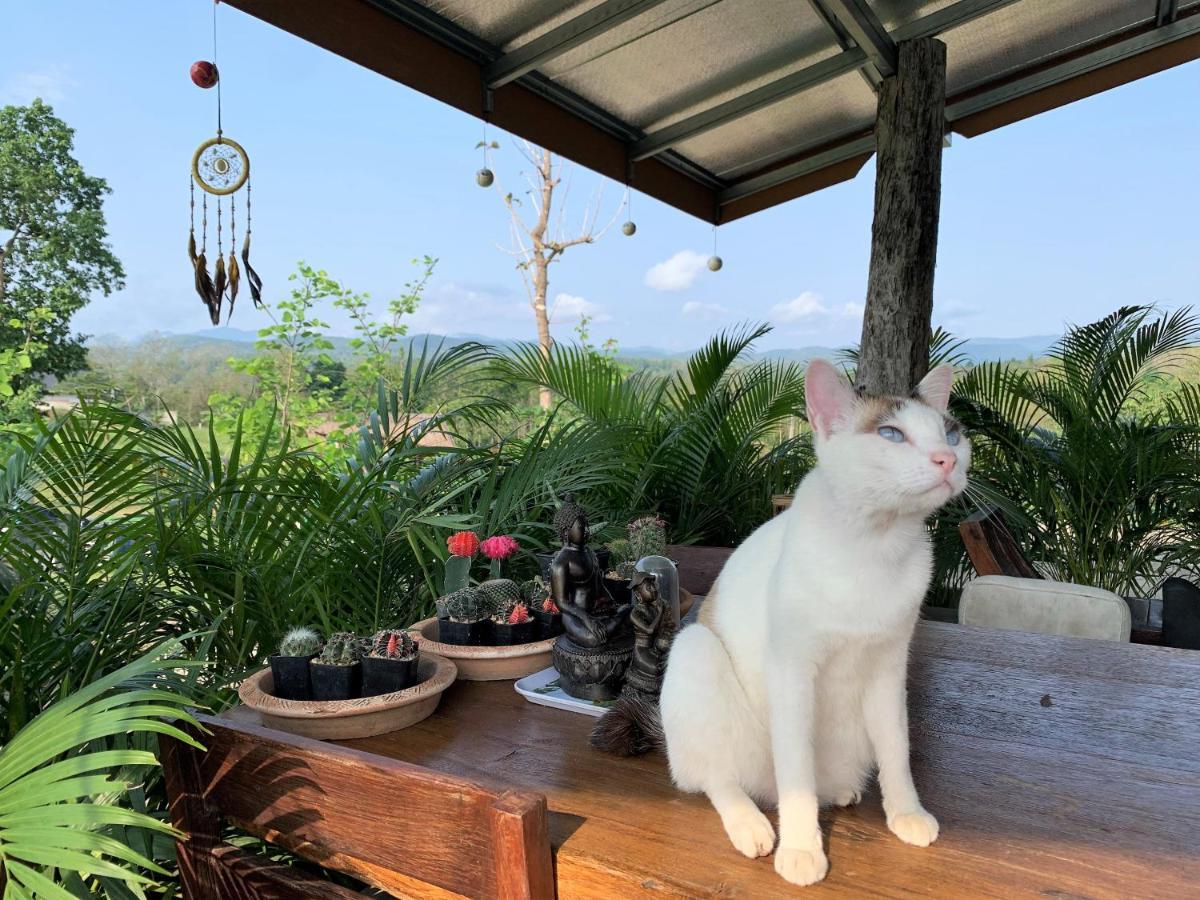True Nature Chiang Mai - Yoga & Meditation Homestay Retreat ภายนอก รูปภาพ